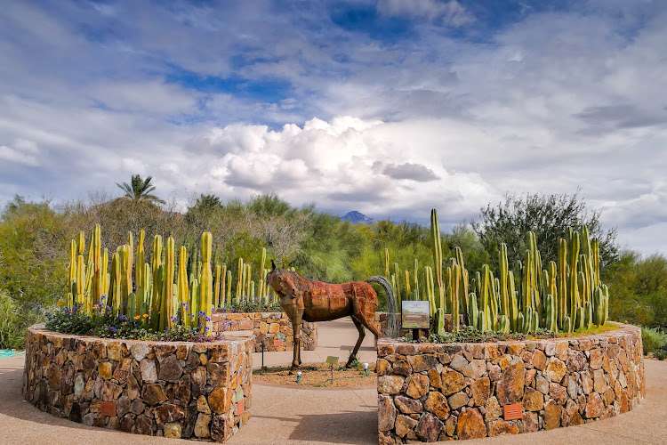 Tohono Chul | Gardens