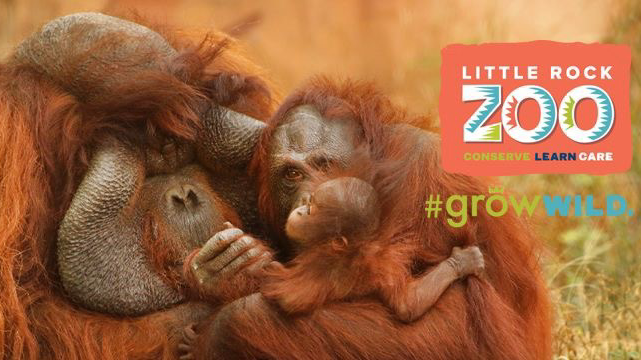 Little Rock Zoo in Little Rock Arkansas