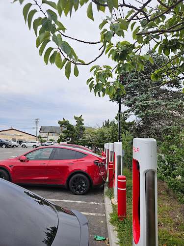 Tesla Supercharger EV Charging Station at 70 S Euclid Ave
