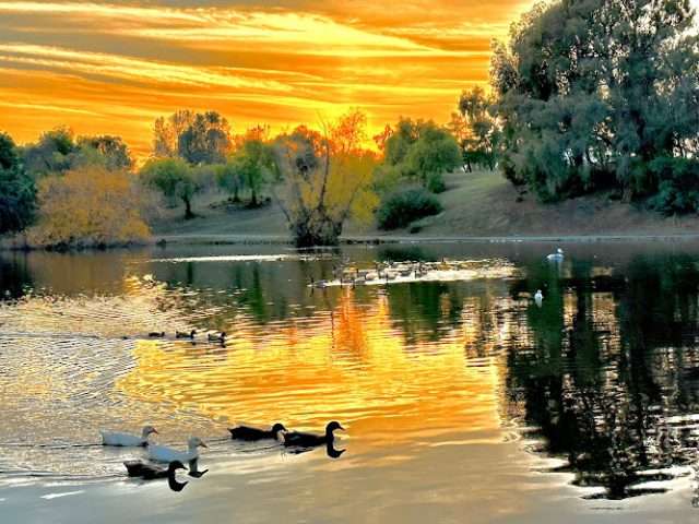 Los Medanos College in Pittsburg California