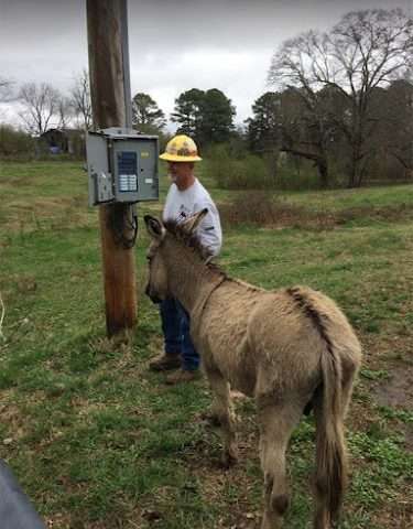 Cullman Electric Cooperative in Cullman Alabama