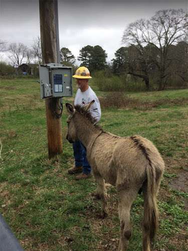 Cullman Electric Cooperative EV Charging Station at 1749 Eva Rd NE