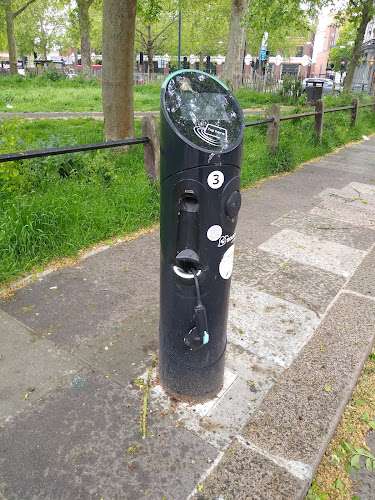 Source London Charging Station EV Charging Station at 99 Brook Grn
