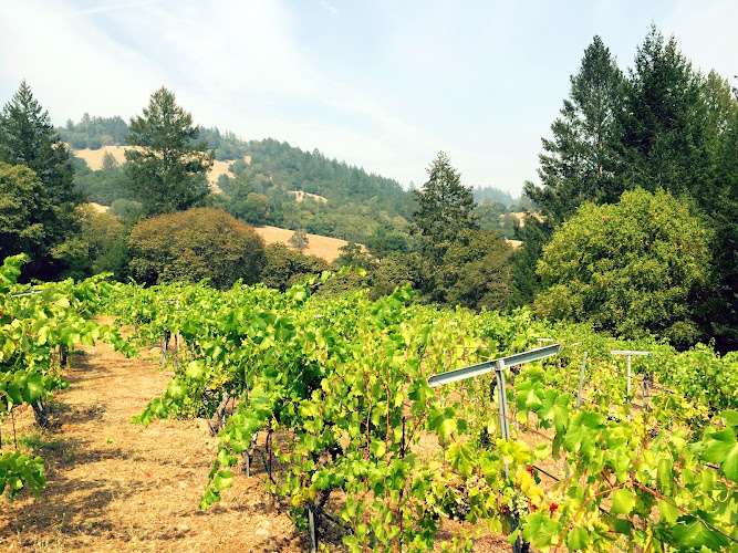 Fogline Vineyards EV Charging Station at 6705 Cristo Ln