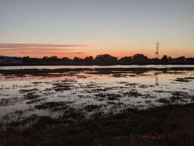 Redwood LIFE in Redwood City California