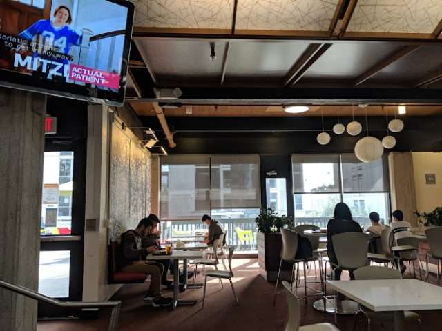 Pines in La Jolla California