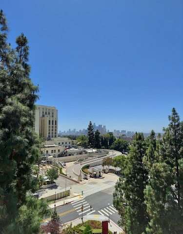 Biggy Street Parking Structure in Los Angeles California