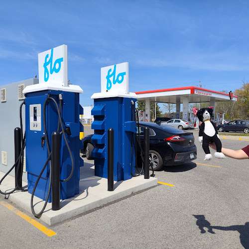 FLO Charging Station EV Charging Station at 24270 Woodbine Ave