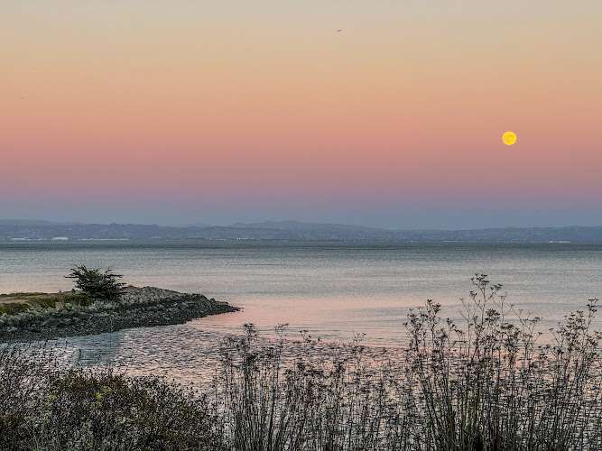 Genentech EV Charging Station at 1 DNA Way