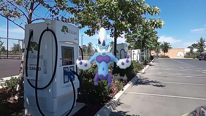 ChargePoint Charging Station EV Charging Station at 9701 Big Horn Blvd