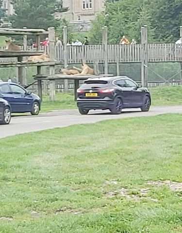 Chargeplace Scotland Charging Station in Stirling United Kingdom of Great Britain and Northern Ireland