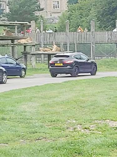 Chargeplace Scotland Charging Station EV Charging Station at Cuthil Brae