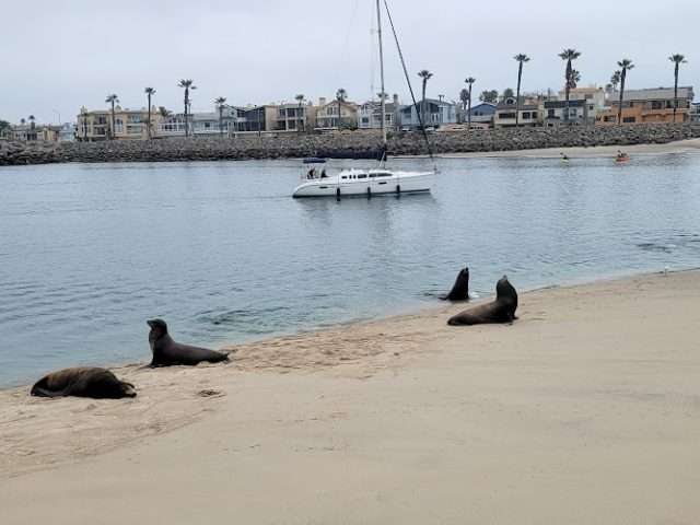 Port of Hueneme/Oxnard Harbor District in Port Hueneme California