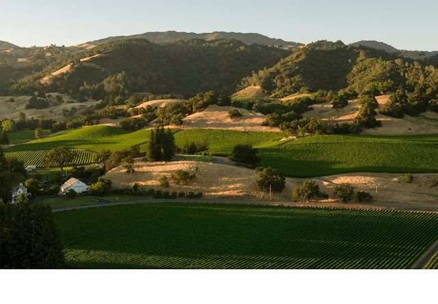 Robert Young Estate Winery in Geyserville California