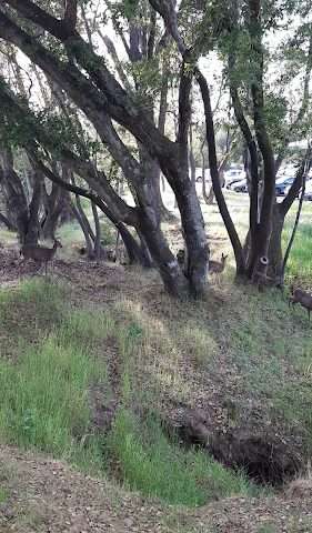 Indian Valley Campus in Novato California