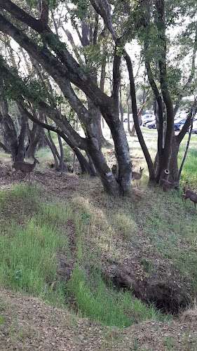 Indian Valley Campus EV Charging Station at 1800 Ignacio Blvd