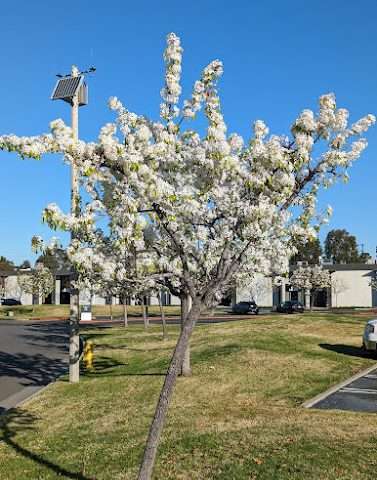 Skypark Business Center in Irvine California