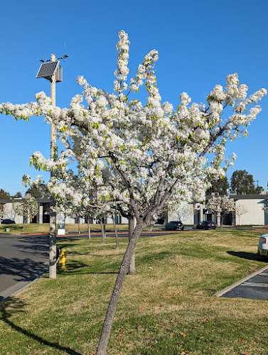 Skypark Business Center EV Charging Station at 17744 Sky Park Cir