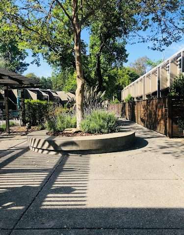 Portage Bay in Davis California