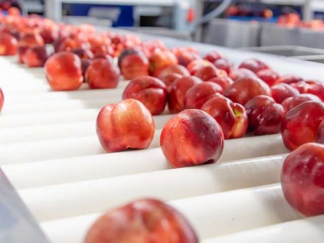 Family Tree Farms - Reedley Facility in Reedley California