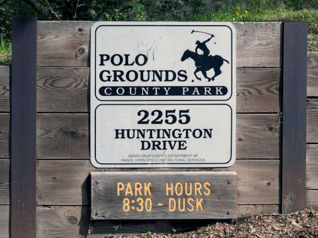 Polo Grounds County Park in Aptos California