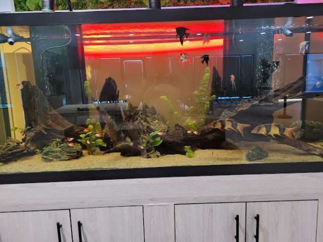 Pacific Plaza in Walnut Creek California