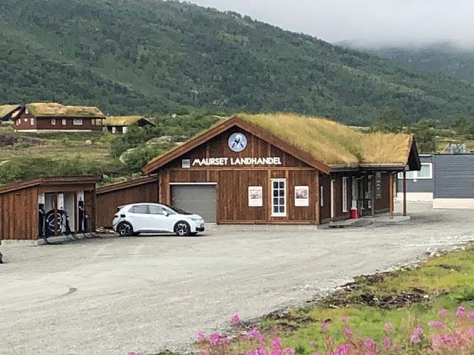 Eviny Charging Station EV Charging Station at 5785 Vøringsfoss