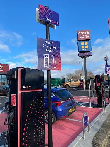 PoGo charge Charging Station EV Charging Station at 1016 Kingsbury Rd