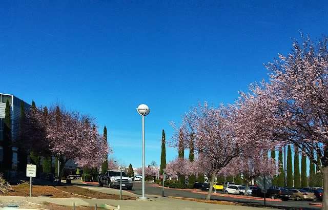 Butte College, Chico Campus in Chico California