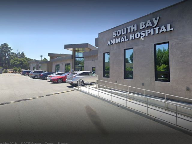 South Bay Animal Hospital & Emergency in San Jose California