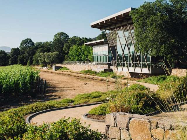 Hamel in Sonoma California