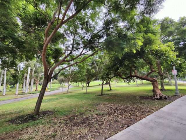 University of California, Irvine in Irvine California