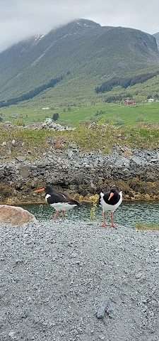 Recharge Charging Station in Bratland Norway 8730