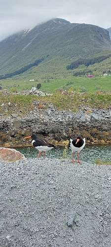 Recharge Charging Station EV Charging Station at 8730 Bratland