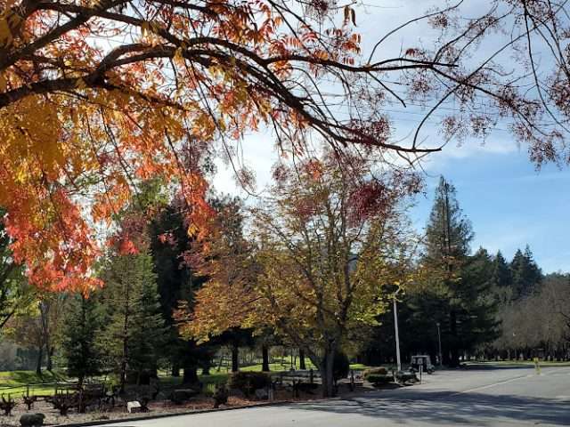 Napa Valley Vine Trail Trailhead at Veterans Home in Yountville California