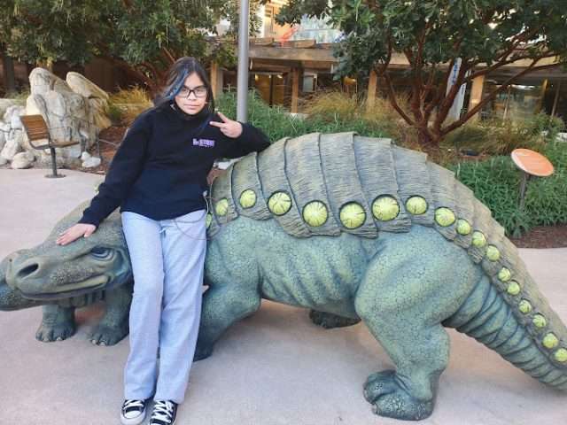 Lucile Packard Children's Hospital Stanford in Palo Alto California