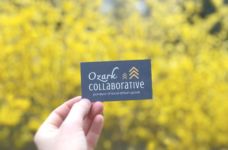 Ozark Collaborative EV Charging Station at 219 E Locust St