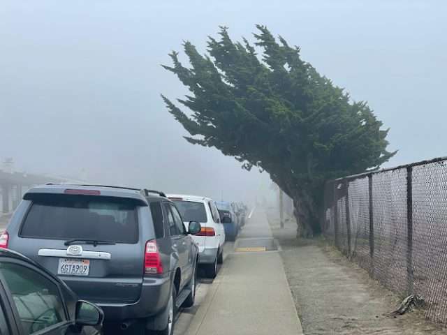 Jefferson Elementary School District in Daly City California