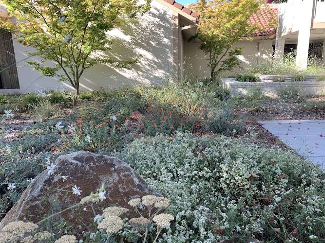 Pleasanton City Hall EV Charging Station at 123 Main St