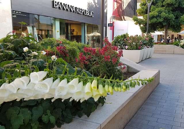 Stanford Shopping Center in Palo Alto California