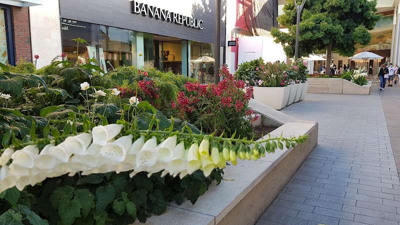 Stanford Shopping Center EV Charging Station at 660 Stanford Shopping Center