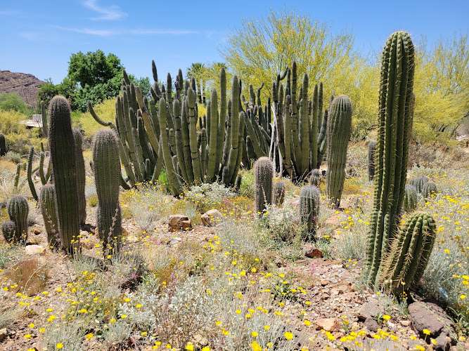 Arizona-Sonora Desert Museum EV Charging Station at 2021 N Kinney Rd