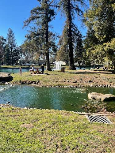 California State University