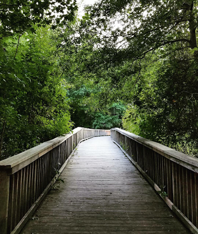 Palm Desert City Finance in Palm Desert California