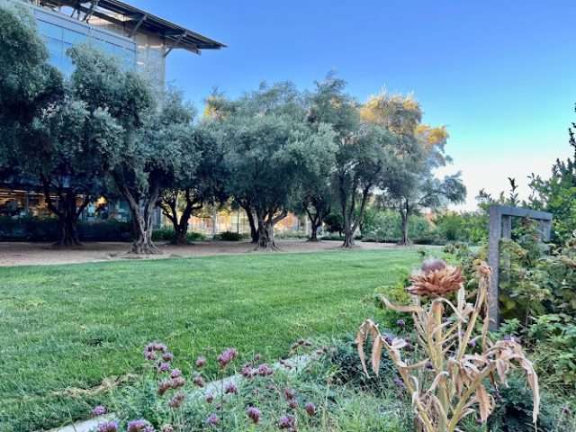 University of California, Davis in Davis California