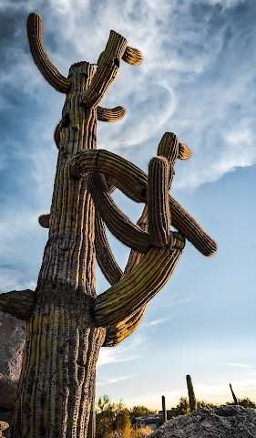 The Boulders in Carefree Arizona