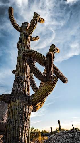 The Boulders EV Charging Station at 34631 N Tom Darlington Dr