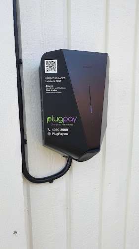Plugpay Charging Station EV Charging Station at 91 Mogan TINN TINN AUSTBYGD