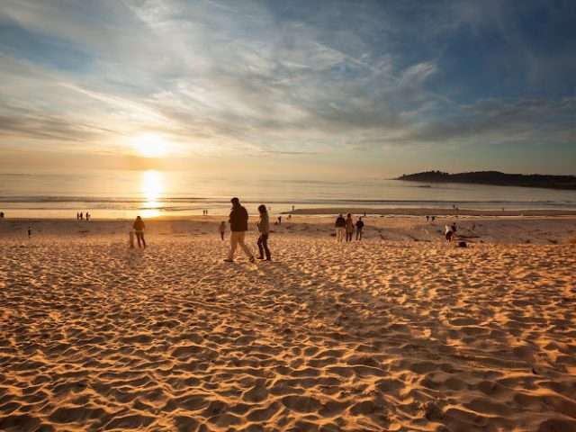 Vista Lobos in Carmel-By-The-Sea CA