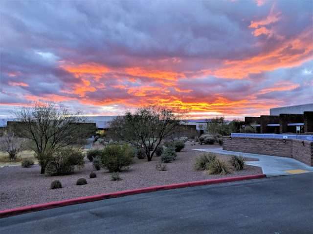 Roche Tissue Diagnostics in Oro Valley Arizona